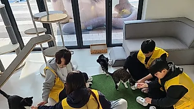 경기도, 겨울방학 청소년 대상 유기동물 연계 자원봉사 프로그램 운영