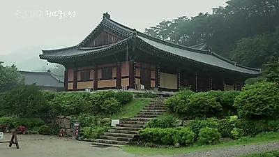 문경 봉암사 토굴 스님, 40년 된 바위 틈에서 다람쥐·나비와 공존하는 삶
