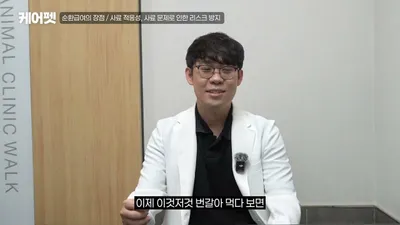 사료 순환급여, 2~5세 강아지에게 권장되는 이유와 주의사항