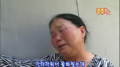 방치된 빈집 속 유기견들, 눈 파열과 폐 수종 앓던 빵시츄의 구조 과정