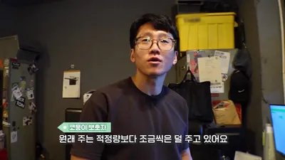 코뭉이 36kg 체중, 갈비뼈 만져지지 않는 BCS 최하 단계 상태
