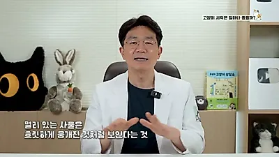 고양이 장난감은 파란색·노란색 선택해야…코앞 물체 못 보는 이유